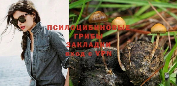 скорость Алзамай